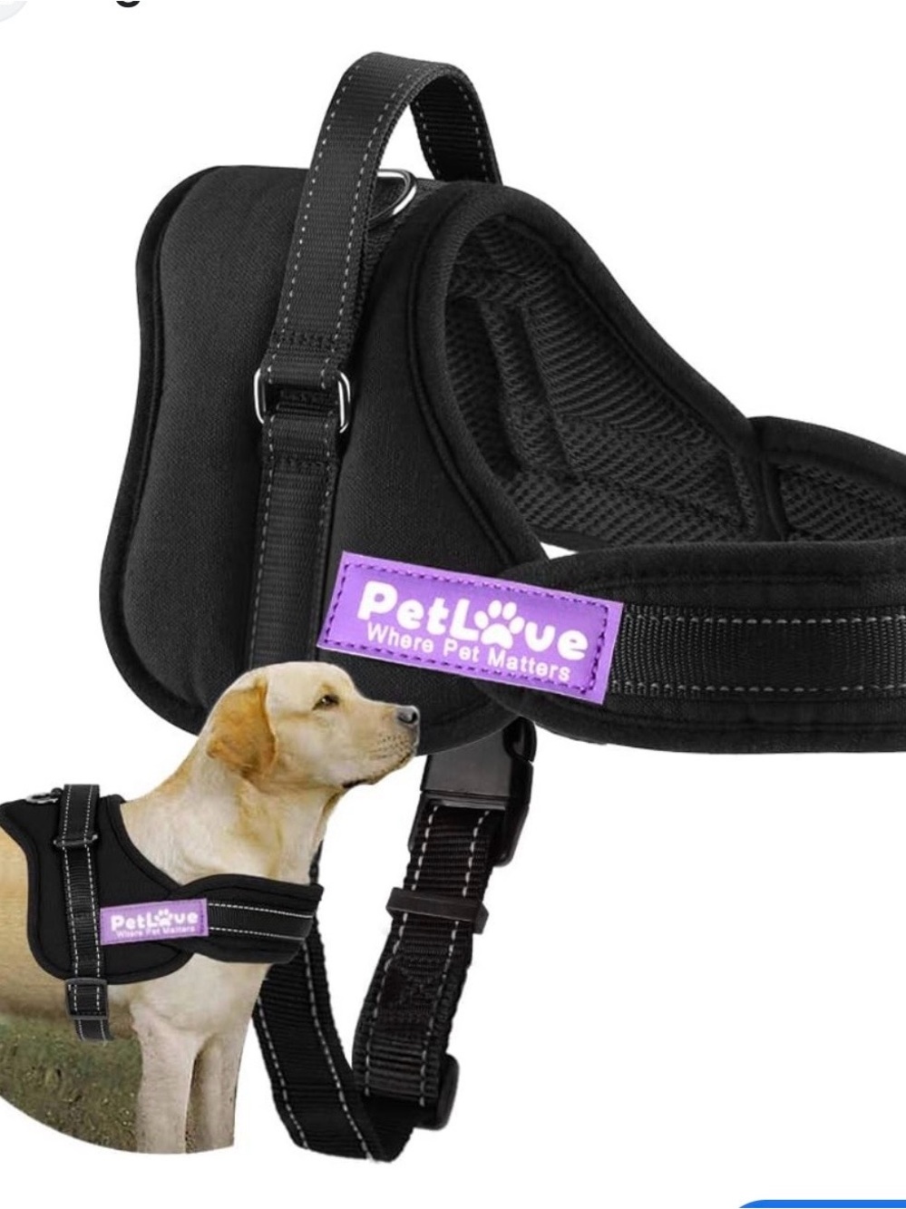 Black Padded No-Pull Dog Harness with Purple Logo